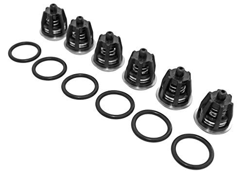 General Pump Check Valves Kit - Kit 1