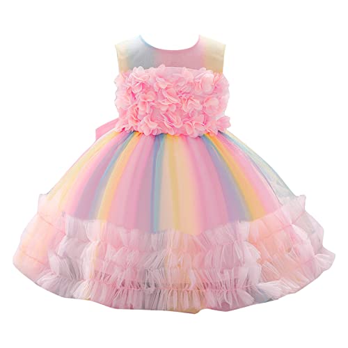 Toddler Kids Girls Sleeveless Party Dresses Photograph Rainbow Flower Mesh Dress Lace Fluffy Tulle Pageant