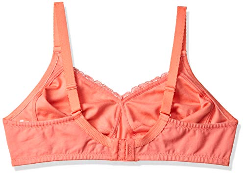 Image of Jockey ES19 Women's Wirefree Non Padded Super Combed Cotton Elastane Stretch Full Coverage Plus Size Bra with Lace Styling and Adjustable Straps