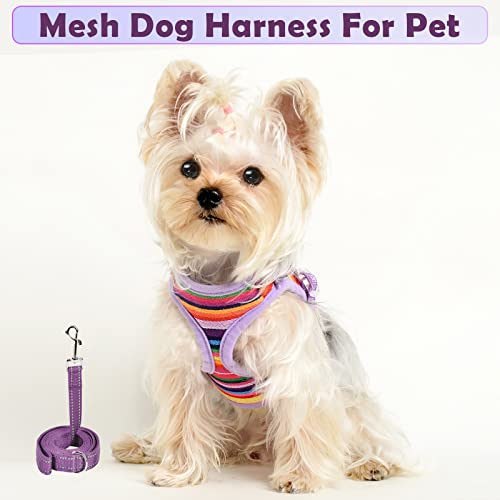 No Pull Harness For Dogs Small Xsmall Dog Harness Chihuahua Harness Puppy Harness And Leash Set Small Dog Harness And Leash Set Girl Dog Harness Cat Harness (Purple(Leash), X-Small) #TOP6