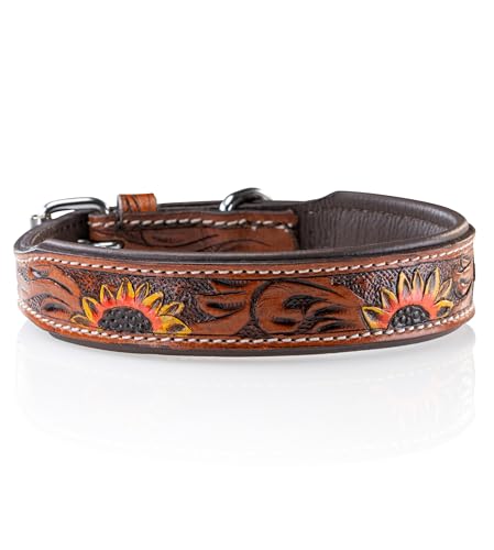 Jack & Russell Original Hundehalsband aus Leder, Hand-geschnitzt und gepolstert – Halsband aus Büffelleder, Hunde Lederhalsband Soleil (S (26,0-34,0cm)