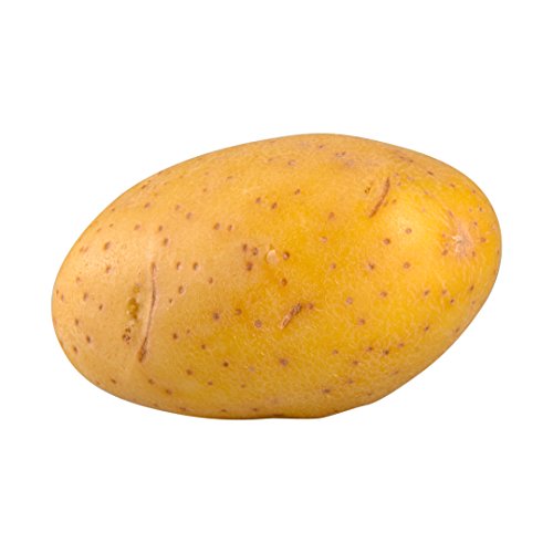 Potato Yellow Gold