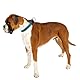 Ferplast Hundehalsband Sport Dog, Weich Gepolstertes Nylon Hunde Halsband für große Hunde, Verstellbare und Reflektierend, Größe: 2,5 cm (45-55 cm), Blau