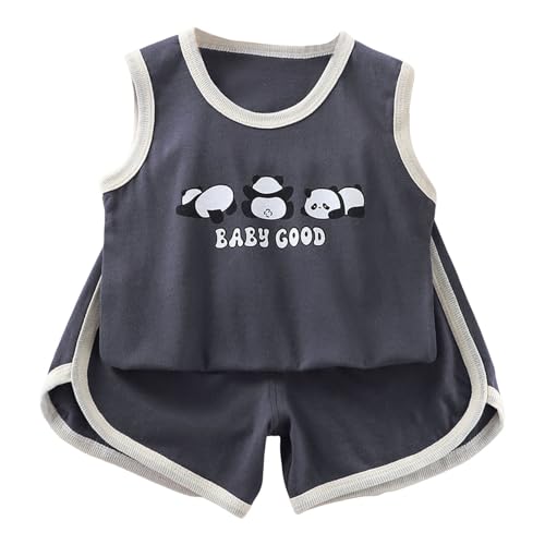 [veolaimy] xr[ ZbgAbv  ^Ngbv V[gpc  ʋC  gbvX n[tpc  낢  q  JWA Ԃ ؍  ʉ ʊw i s oYj v[g