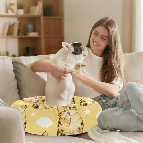 Lit chaud pour chat de taille moyenne marron en taille M - 7