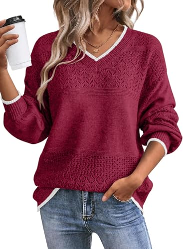 Image of SHEWIN Women's Sweaters Casual Long Sleeve V Neck Crewneck Lightweight Crochet Pullover Sweater Tops