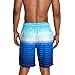 Speedo Men's Swim Trunk Knee Length Boardshort Bondi Striped