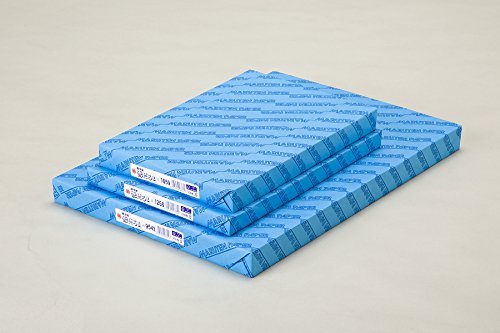 S[N w Ⴞ No.1654 1004 380×540mmi165j