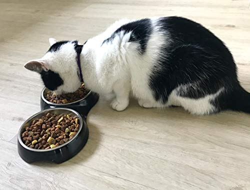 Design Futternapf für Katzen mit Edelstahleinsätzen (2 x 220ml) - schwarz glänzend