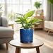 Eightpot 6 Inch Plant Pot - Ceramic Planter for Outdoor Plants Indoor Plant Pot with Drainage Holes and Saucer Succulent Pot Modern Round Flower Pot for House Room Decor Blue