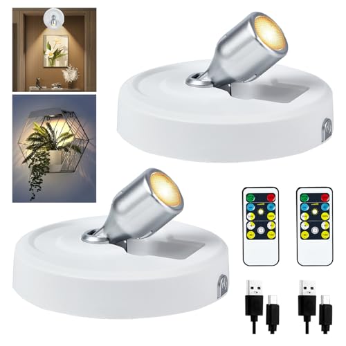 RAHAN 2 focos de techo recargables, inalámbricos, LED, recargable, funciona con pilas, con mando a distancia, temporizador, foco de pared para iluminación de plantas, iluminación de imágenes