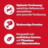PEDIGREE Hundenassfutter Vital Protection Portionsbeutel mit Rind- und Lebermischung in Gelee, 24 x 100g