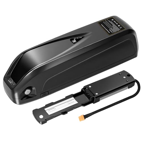 SEENRONGYUAN 48V Ebike Battery, 20AH E-Bike Lithium Battery with 30A BMS for 0-1000W Motor, Includes USB Output, Safe Lock, Led Indicator Light and XT60 Connector (48V 20AH)