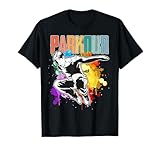Parkour Designs