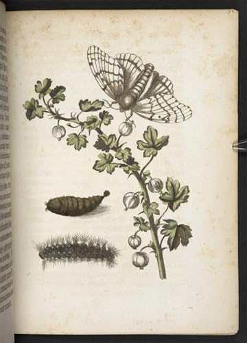 Tableau Chenille et papillons par Maria Si : la solution pour habiller vos grands murs