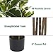 FLOWORLD Artificial Rubber Tree Plant 6ft Tall Faux Ficus Tree Potted Fake Tropical Plants Decorative House Plants Large Floor Artificial Trees for Home Office Decor, Without The Pot