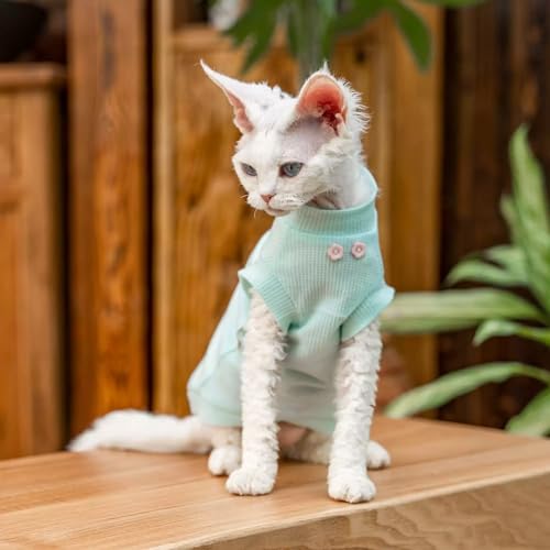 Débardeur sans Manches pour Chaton sans Poils Protège Peau Chat Sphynx - 6