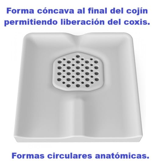Cojín Antiescaras para Silla de Ruedas, Postural Mayores, Nuevo Modelo, Viscoelástico, Espuma viscolelastica, Incluye Dos Fundas Impermeables, Negro, Ignifugo (42x42)