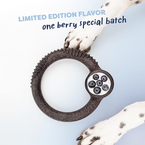 Image of Benebone Limited Edition Blueberry Large 4-Pack Dog Toys for Aggressive Chewers, Durable Dog Bones, Made in USA, Dog Toys for Large Dogs Under 90 lbs