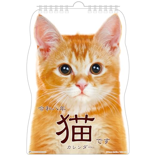 Amazon | アクティブコーポレーション 2026 カレンダー 壁掛け 猫です