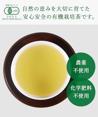 トップスマイル 有機栽培 煎茶 宇治茶 100g