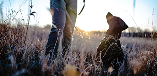 Vortex Padded Dog Leash - image 3