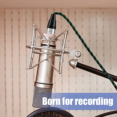 Augioth Xlr To Xlr Pro Mic Cable Male To Female Xlr Cable 3-Pin Green Balanced Shielded Microphone Cable For Amplifier Mixer,Speaker Systems,Recording Studio,10Ft #TOP5