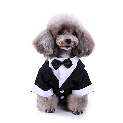 Stylish Dog Tuxedo for Weddings, Vintage Cross-Border Outfit, Luxury Cotton Evening Dresses with Bandana for Cats and Dogs, Fashionable Pet Apparel (Black, Small)