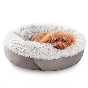 JOEJOY Small Dog Bed & Cat Bed, Anti-Anxiety Puppy Cuddler Bed, Cozy Soft Round Fluffy Plush Pet Bed, Machine Washable and Anti-Slip Bottom (20″, Grey)