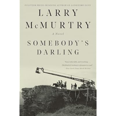 Somebody`s Darling &ndash; A Novel