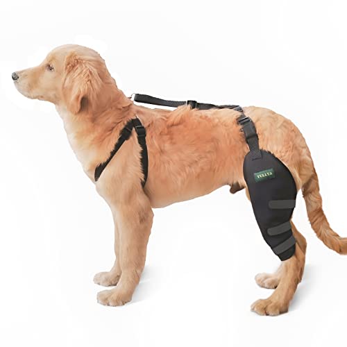 Yullya Dog Knee Brace,Dog Leg Brace for Sprain ACL,CCL,Arthritis,Knee Cap Dislocation,Leg Wounds Care,Dog Rear Leg Luxating Patella Brace,Pet Knee Wounds Prevent Licking (Right,L),Black Yullya Dog Knee Brace,Dog Leg Brace for Sprain ACL,CCL,Arthritis,Knee Cap Dislocation,Leg Wounds Care,Dog Rear Leg Luxating Patella Brace,Pet Knee Wounds Prevent Licking (Right,L),Black