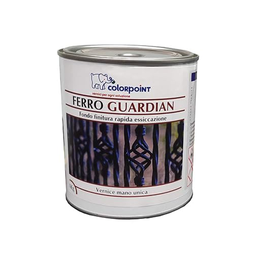 Color Point Ferro Guardian – Vernice Smalto per ferro con antiruggine – Mano Unica – A Rapida Essiccazione 1KG (Grigio RAL 7040)