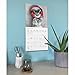 Carousel Calendars, Classic Cats 2026 Wall Calendar, 12'' X 12'', 16-Month Calendar with Stapled Binding