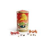 Leone dal 1857 - Latta Carillon Cri Cri - Cioccolatini Assortiti Fondenti alla Nocciola e Fondenti al Pistacchio - 1 Lattina da 130 gr - Dolci Scrigni Incantati - Idee Regalo Natale