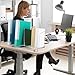 Reallnaive Catalog Rack Magazine File Holder Angled Binder Holder Metal Desk Organizer with 4 Rack Compartments Space Saving File Organizer for School Office Home, Metal Wire, Silver