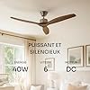 Mellerware - Ventilateur de plafond avec télécommande Brizy! 45W | Puissant | Ultra silencieux | 3 lames | Diamètre 132cm | 6 vitesses | Refroidissement + LED intégrée | Bois foncé