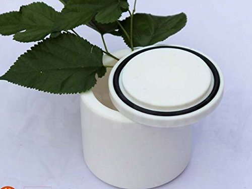 Hanchen 50 ml PTFE Laboratorio de jarra de molienda bola planetaria molino de molienda tarro, taza y cuenco