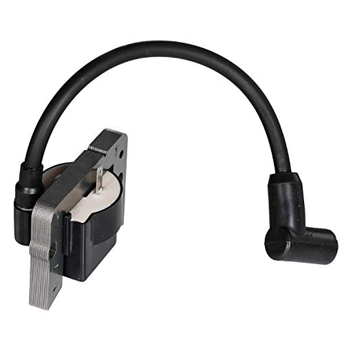 Videopup Solid State Ignition Coil Module & Plug Compatible With Tecumseh H-30 Hsk600 To Hsk635 Lev80 To 120 Lv148 To Lv195 Ovrm60 To 120 Th098Sa Vsk90 Replace 34443A 34443B 34443C 34443D 34443 #TOP4