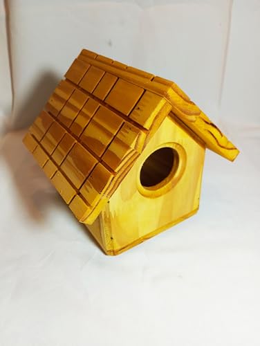 Kit de Casinhas de Pássaro em Madeira, 11 Unidades, 15x13x15cm e 18x15x19cm, Acabamento em Stain Nat