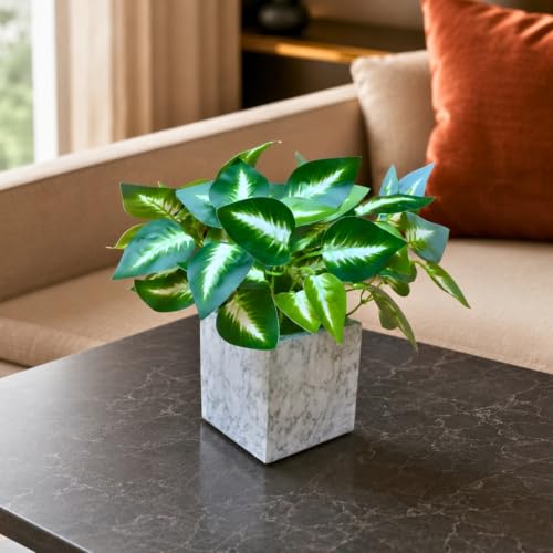Image of fancymart Artificial Plant with Real-Touch Leaves in Pot, 25 cm, Indoor Tabletop Item for Home Decor, Office, Living Room