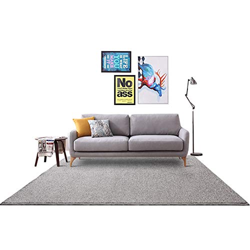 Teppiche Modern Hellgrau 60x150cm Rechteck Teppiche Hochflor Shaggy, Flauschig Weiche Pflegeleicht für Wohnzimmer Küche Flur Schlafzimmer oder Kinderzimmer Cover