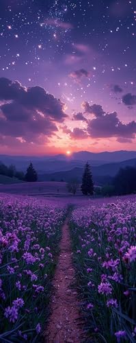 _ChA[g Lbg  5D DIY h _ChA[g Lb  G| Diamond Painting by Numbers NX^CXg[UCNA[gGhJLbgSʓ\t^Cv|piƂ̕ǂ̑ɓKĂ܂ 