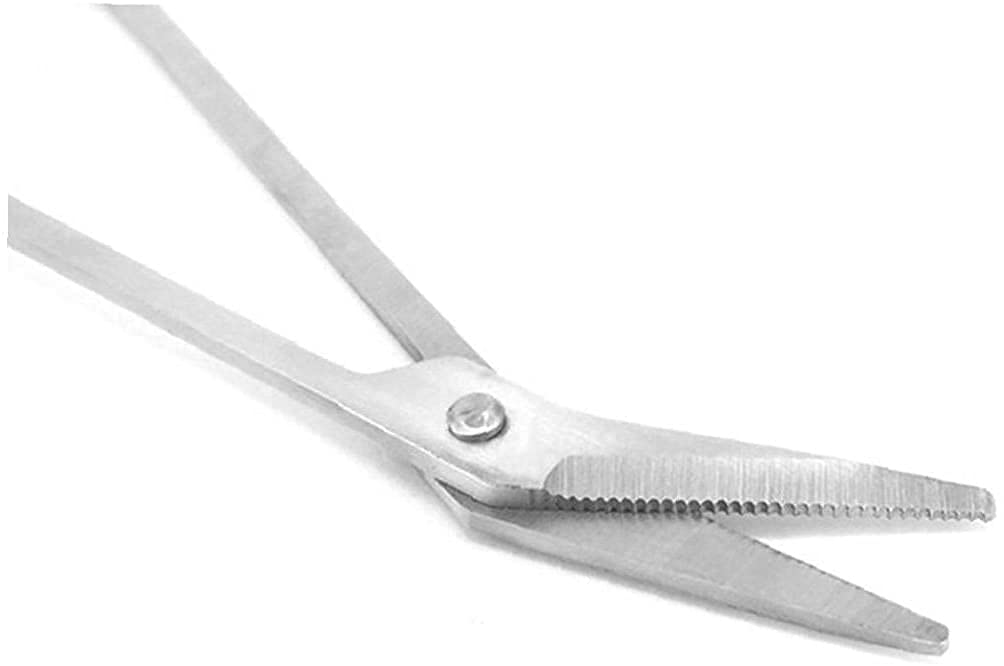 Tijeras para uñas de los pies, mango de acero inoxidable, tijeras de gasa para vendaje, uñas gruesas, fácil acceso