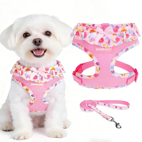 EXPAWLORER Step-in Small Dog Harness and Leash Set, Pink Floral S
