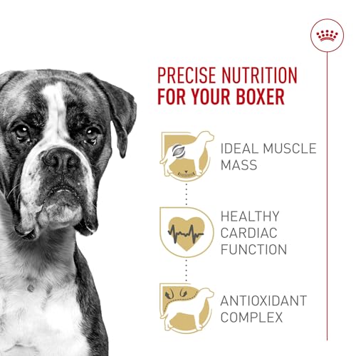 Royal Canin Breed Health Nutrition Boxer Adult Dry Dog Food, 30 lb Bag