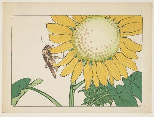 Toile moderne peinture Sauterelle et Tournesol Shibata Zeshin décoration salon