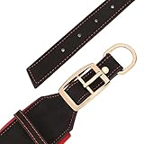 PET ARTIST Haltbares PU Leder Gepolstertes Hundehalsband für Mittlere Großen Hunde. Anpassbar mit Namen, Heavy Duty Metallschnalle, Geeignet für Pitbulls und Große Hunde, Schwarz M
