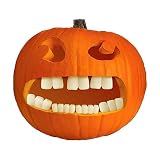 Fun World Halloween Pumpkin Accessory Kit | Buck Teeth