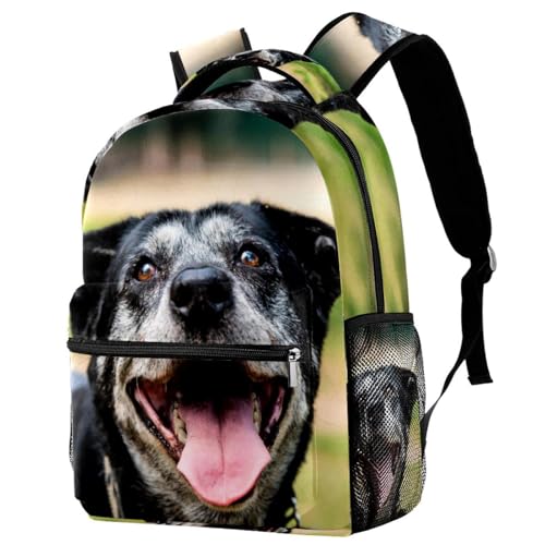Sac à dos ordinateur portable antichoc 40cm motif chien noir