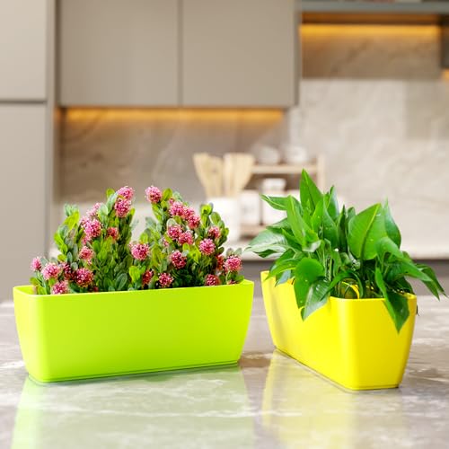Image of YUCCABE ITALIA SHERA CABI Tray 16 INCH Plastic Flower Tray Pot Unbreakable Rectangular Planter Suitable for Home Garden Seedling Indoor and Outdoor (Red, Pack of 6)